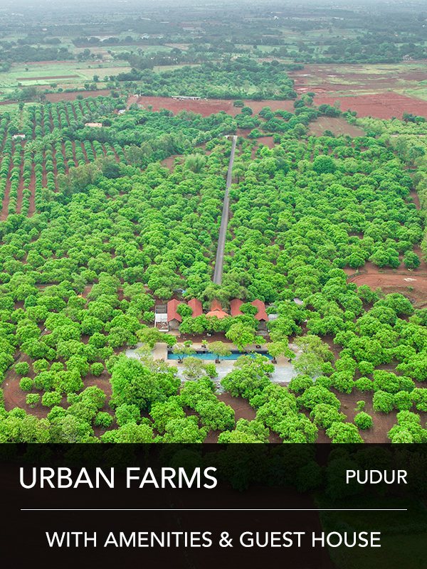 Urban Farms